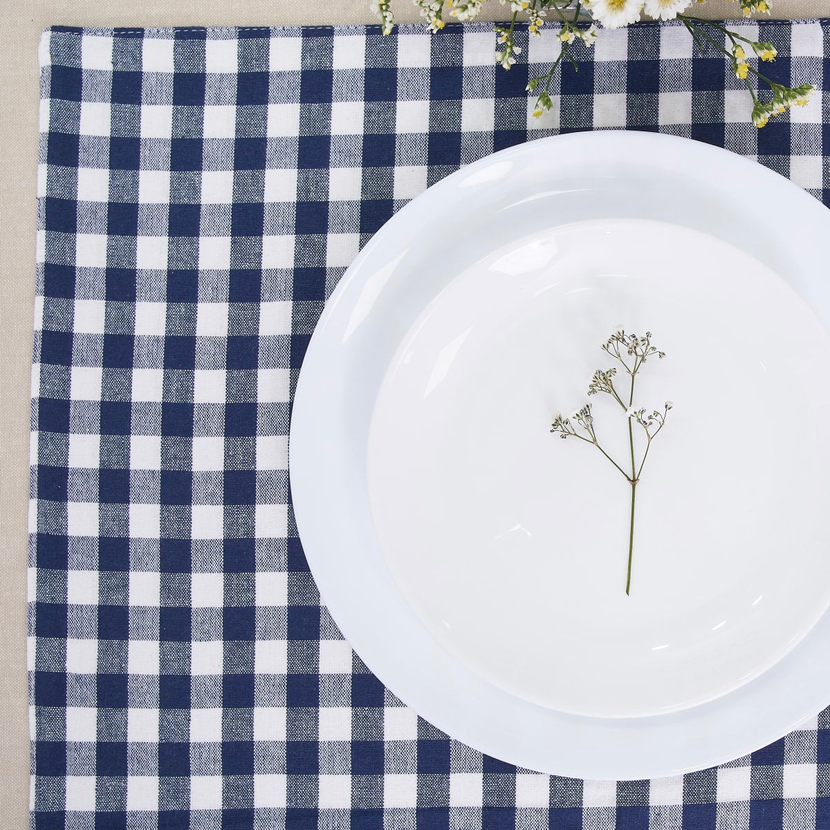 Individual Picnic Azul